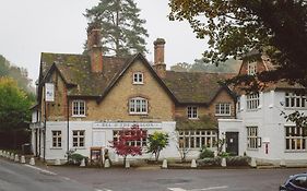 Bel And The Dragon-Churt